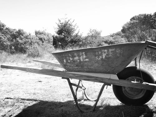 "courtesy Parks Project"