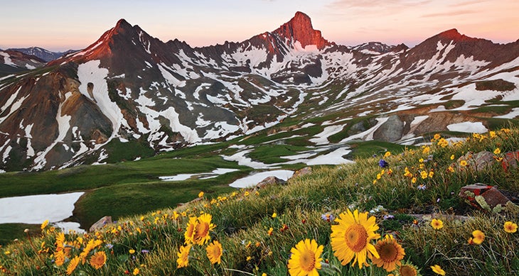 Wetterhorn Sunflowers Wetterhorn Sunflowers image by Jack Brauer