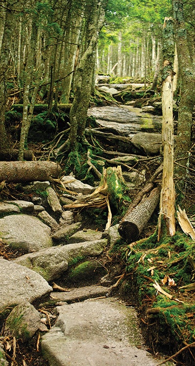 "Baldpate Mountain Appalachian Trail Maine"