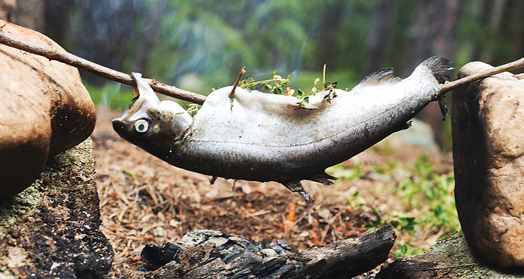 "Lemon Herb Trout (photo by Carmel Zucker)"