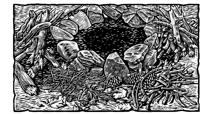 "Illustration of twigs, kindling, sticks for fire by David Danz"