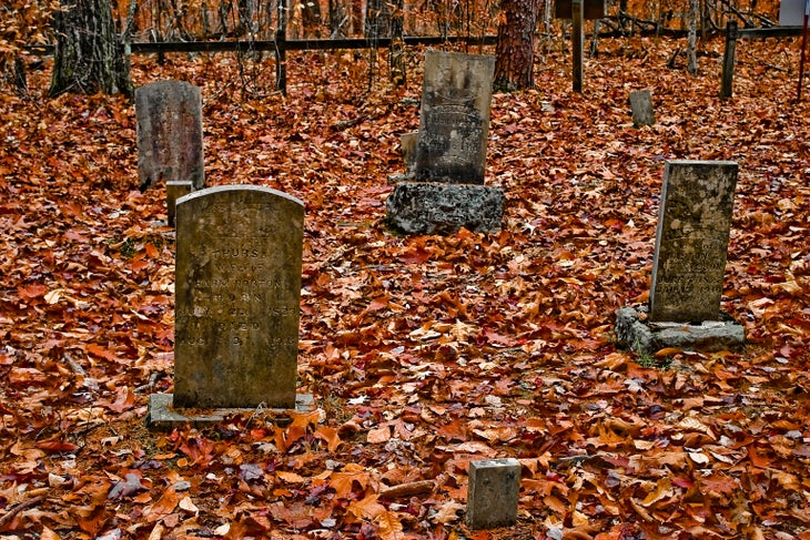Ghost House Trail, Big Ridge State Park, TN This trail is so haunted that Big Ridge State Park went ahead and named it accordingly. Hikers near the historic Hutchinson compound still claim to…