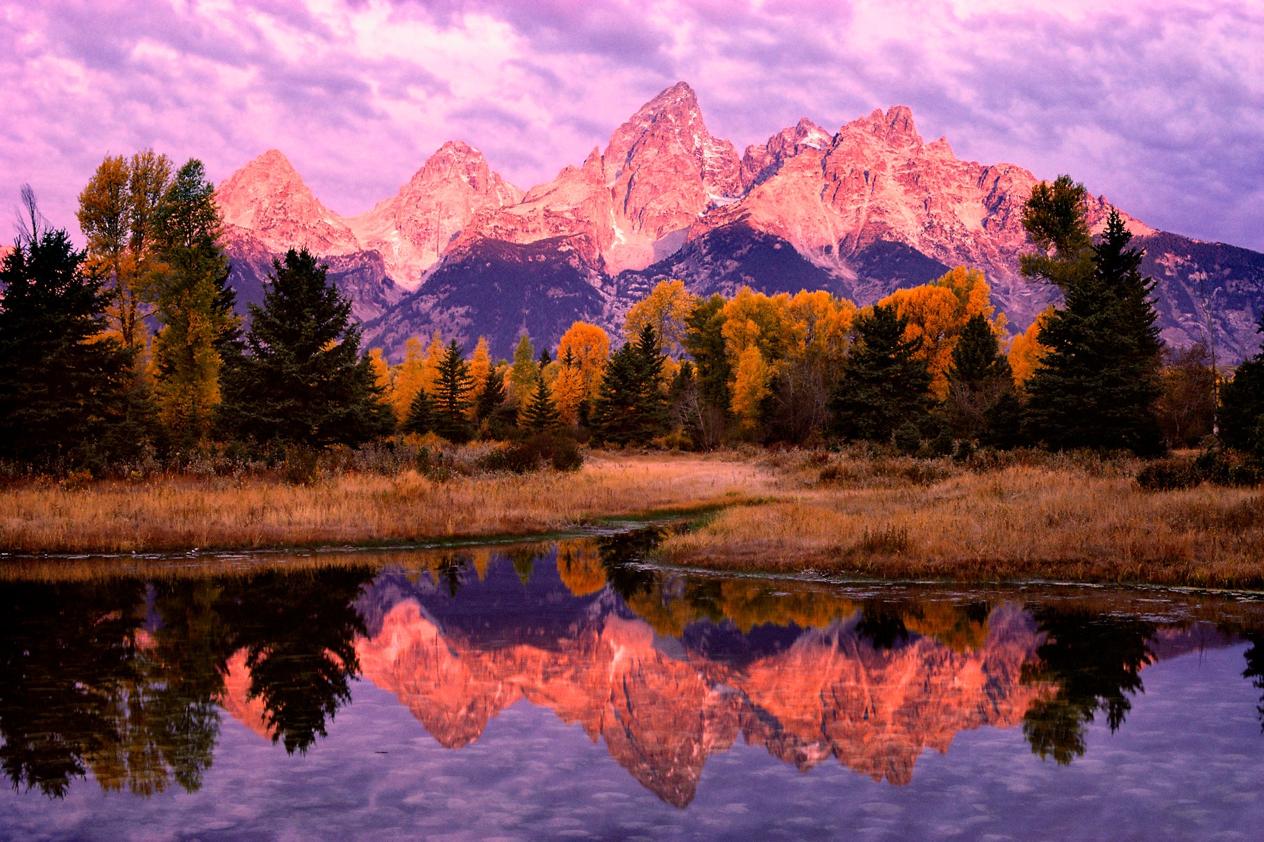 "Grand Teton"