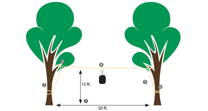 Hang a Two-Tree Bear Bag Hang a two-tree bear bag illustration by Jacob Thomas