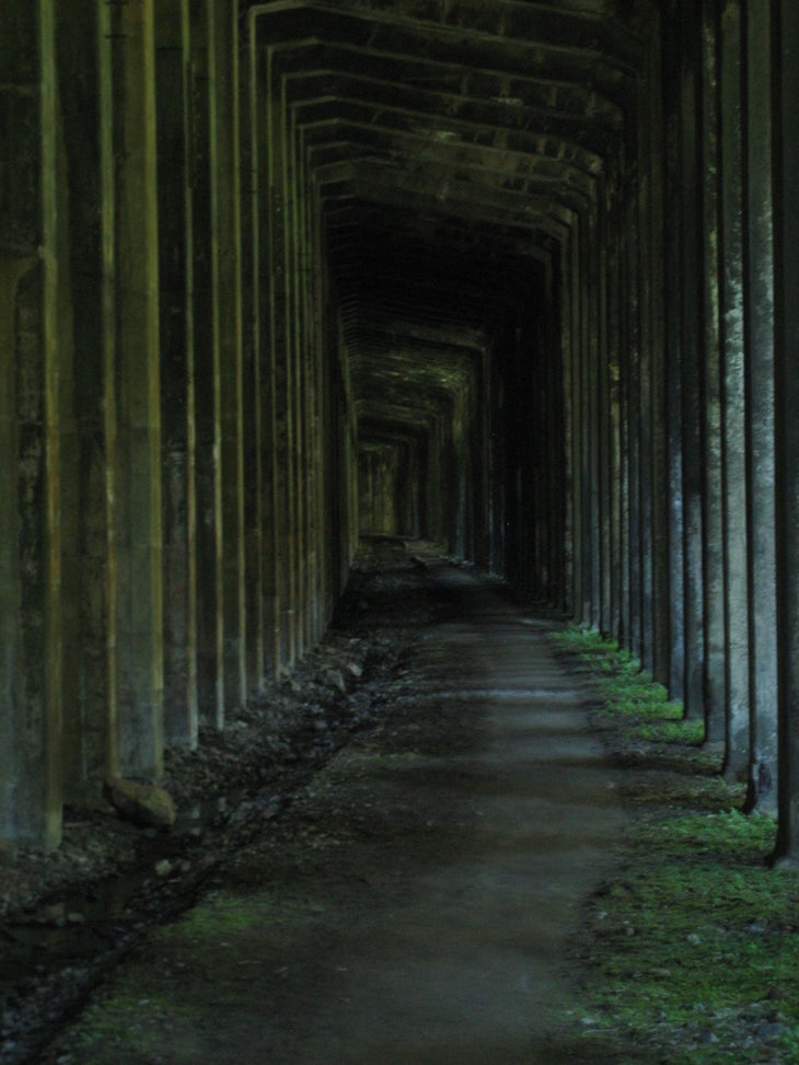Iron Goat Trail, Stevens Pass, WA This 5.7-mile loop has a gentle grade and a not-so-happy history. One of the worst railroad disasters in US history occurred here in 1910 when an…