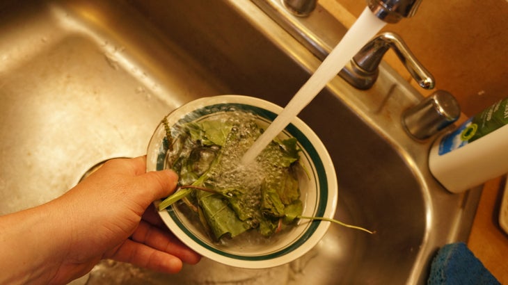 Make Salve With Garden Weeds Trim the stems and pat them dry.
