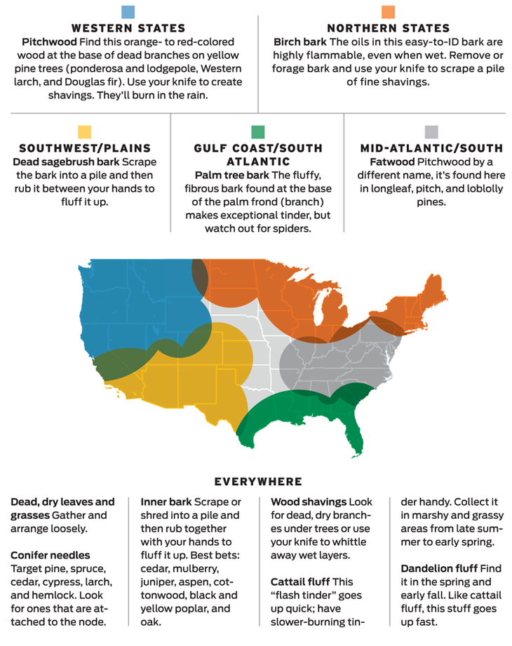 tinderfinder_page Detailed regional information regarging types of tinder in the United States