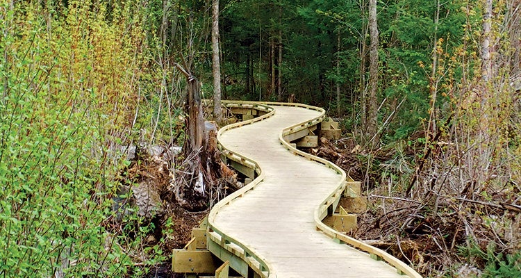 "Boardwalk on the Plover River section of the Ice Age Trail"