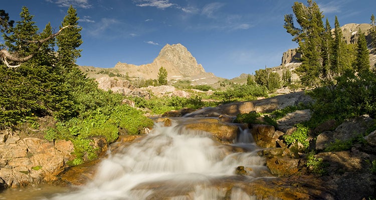 "image of buck mountain in jedediah smiith wilderness"