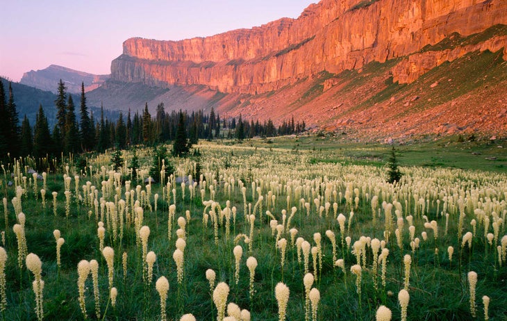 Chinese Wall Bob Marshall Wilderness, Montana Chinese Wall Bob Marshall Wilderness, Montana