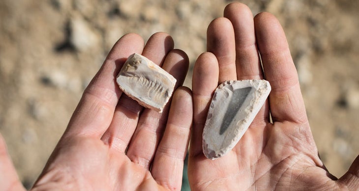 Marine Fossils jordan marine fossils Andrew Bydlon