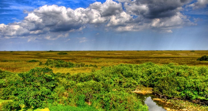 Everglades National Park: Rowdy Bend Trail Best National Park Hikes - Everglades