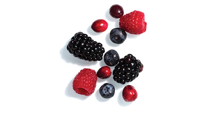 Fresh, Wild Berries Forage Wild Berries - (Photo by Andrew Bydlon)