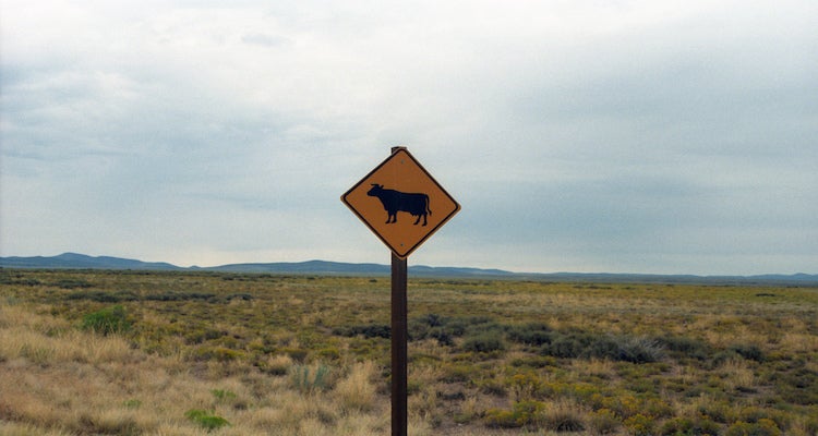 "Dead Cow Slot Canyon"