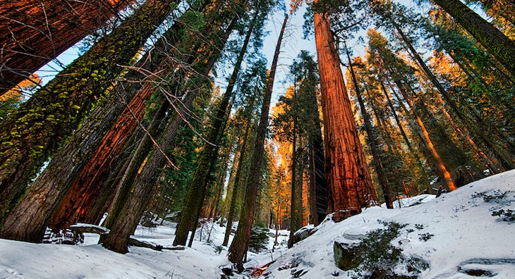 Sequoia National Park: Marble Falls Trail Best National Park Hikes - Sequoia National Park