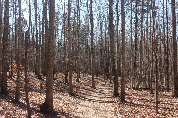 Crowders Trail Crowders Trail