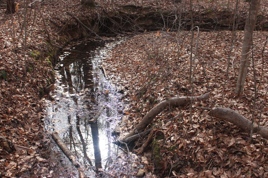 Charlotte, NC Reedy Creek Preserve Loop