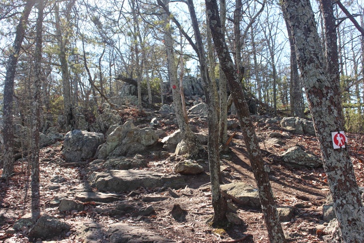 Rocktop Trail Rocktop Trail