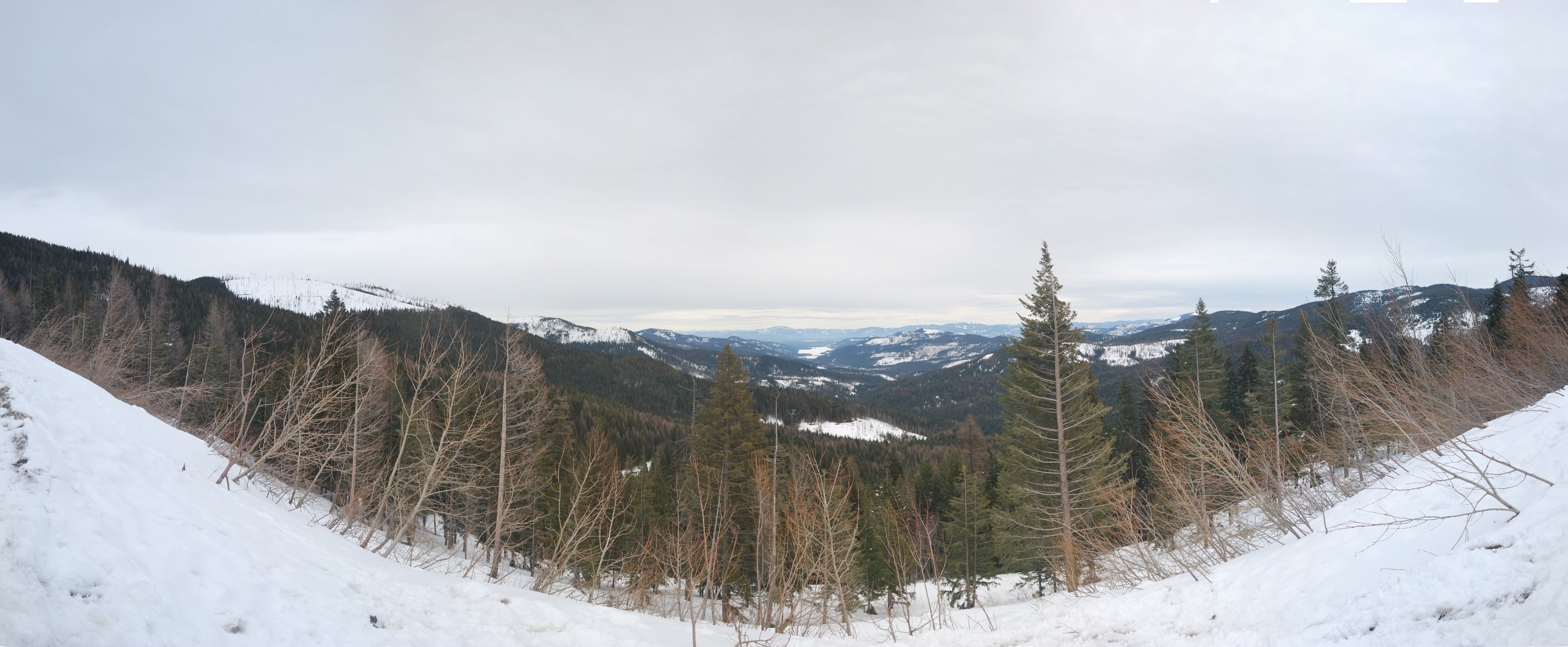 "Mt Spokane Panorama"