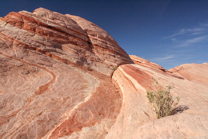 Colored Rock Bands None