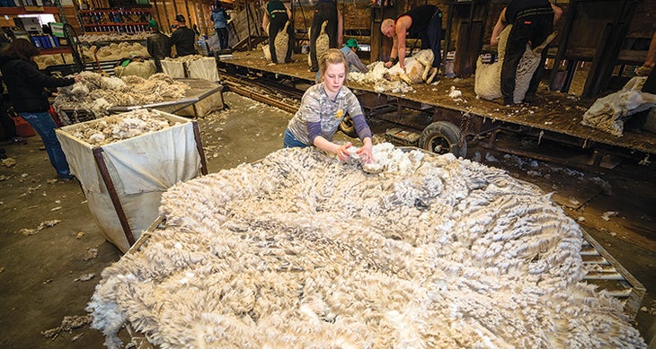 Made in America: Duckworth Made in America: Wool for Duckworth apparel is sheared and sorted in Dillon, Montana.