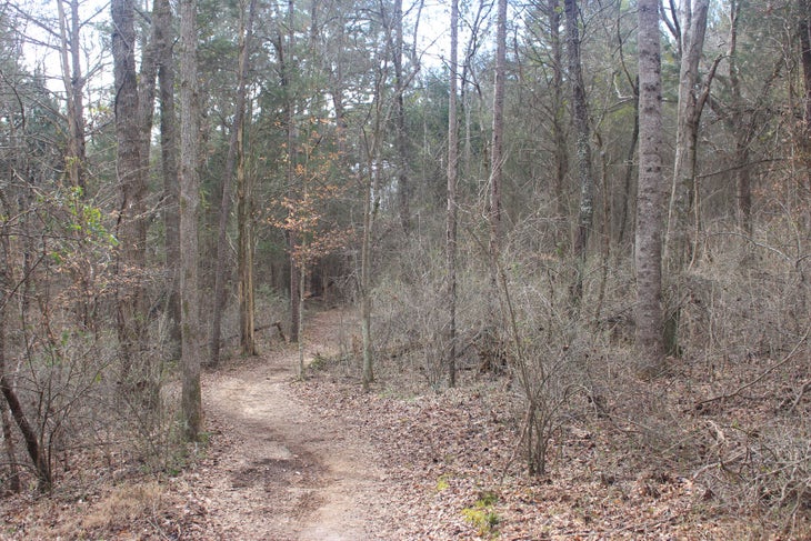Trails wind for a reason... None
