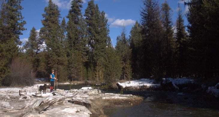On the banks of Wolf Creek On the banks of Wolf Creek