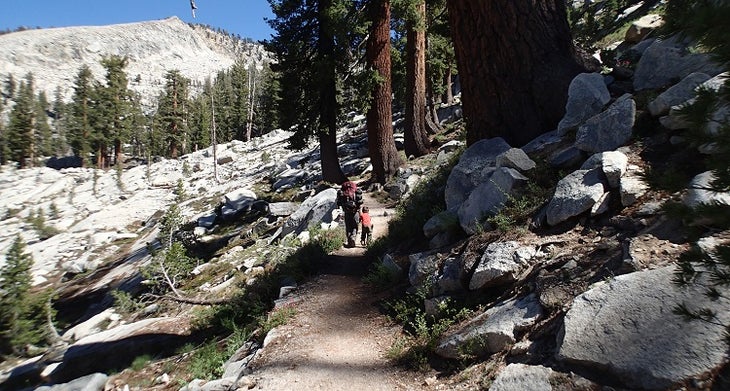 The Watchtower Trail The Watchtower Trail