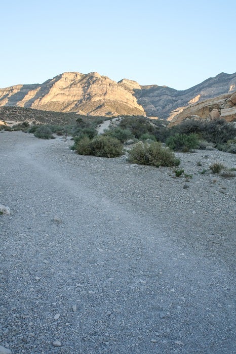 Trail In The Wash Trail In The Wash