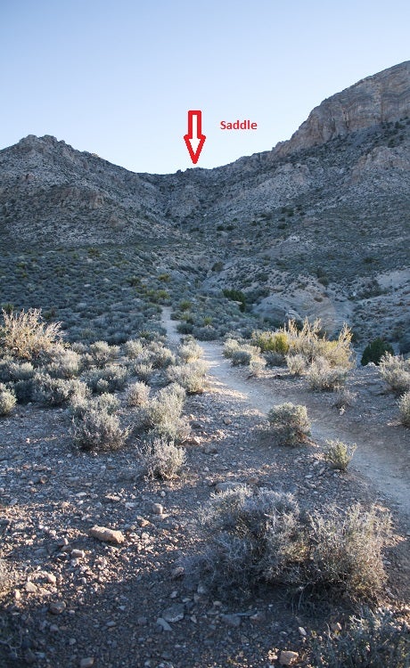 Trail Towards Saddle Trail Towards Saddle