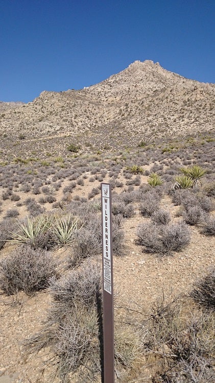 Wilderness Sign Wilderness Sign