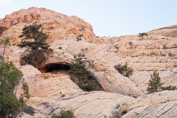 Arch Arch