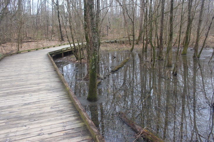 Boardwalk Boardwalk