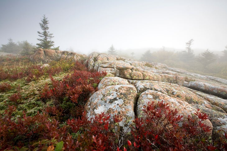 Cadillac Mountain, Acadia NP, ME mountain landscape photos
