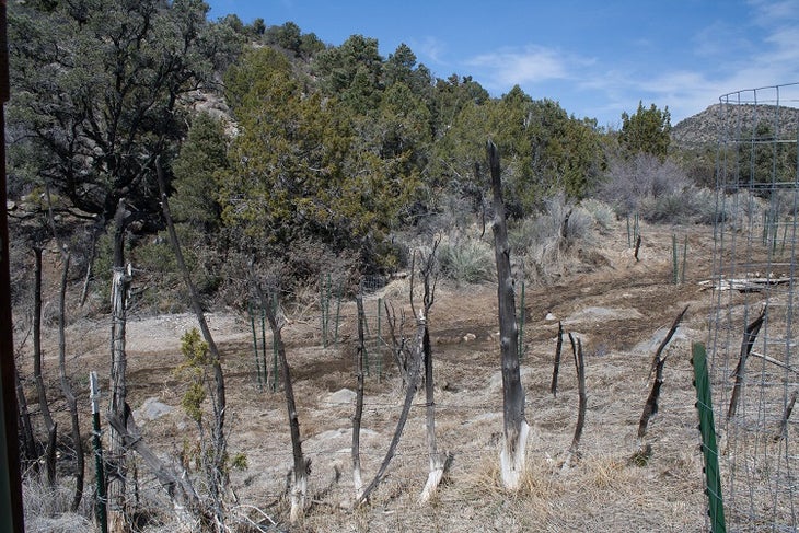Corral Corral