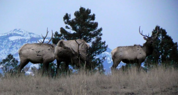 Elk Plaza Elk Plaza