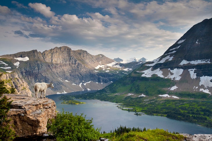 Hidden Lake, Glacier NP, MT mountain landscape photos