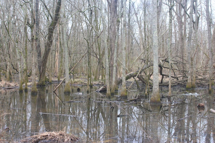 McMullen Creek McMullen Creek