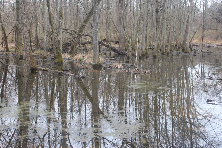 McMullen Creek McMullen Creek