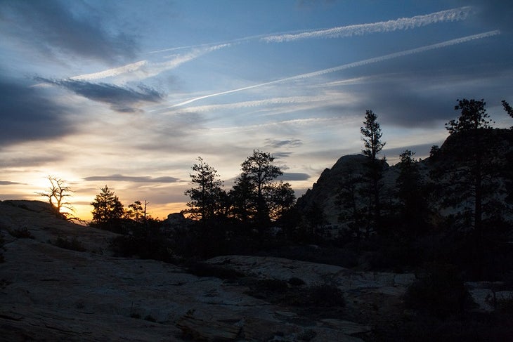 Ponderosa Sunrise Ponderosa Sunrise