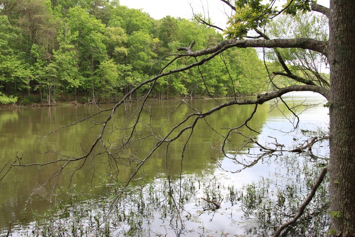 Badin Lake None