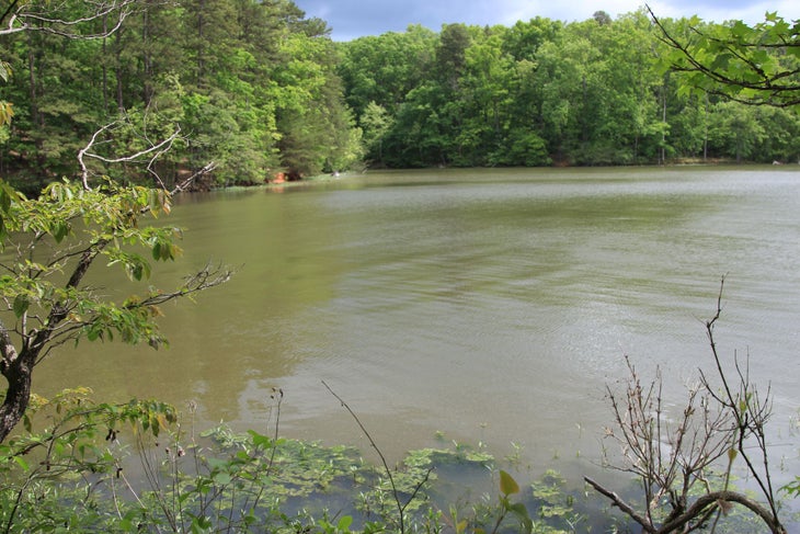 Badin Lake None