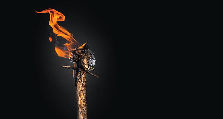 "photo: Andrew Bydlon"