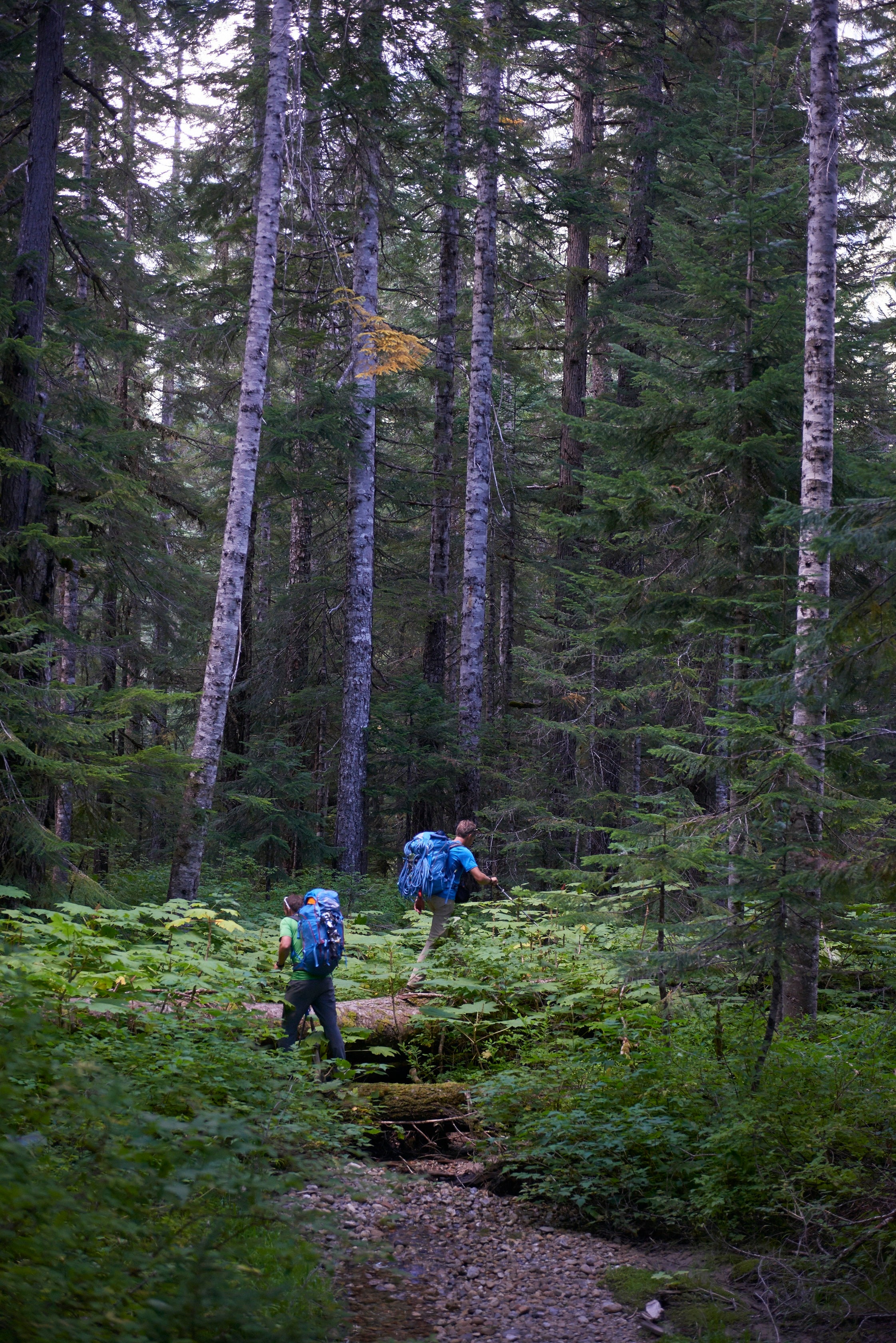 "http://National Trails Day is June 6thwww.climbing.com/video/hot-new-trailer-high-and-hallowed-everest-1963/"