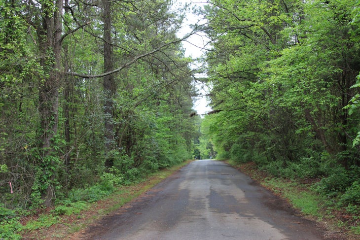 Road to RibbonWalk None