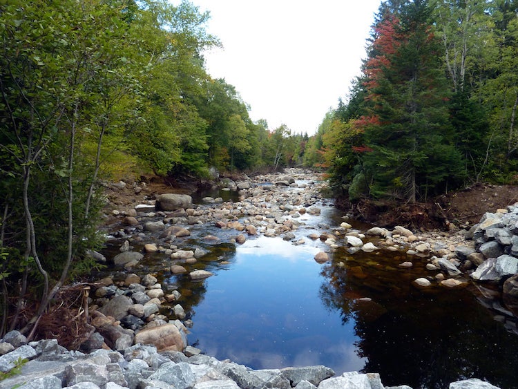 "photo: Melanie Lukesh Reed / Flickr"