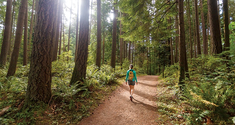 "seattle's best hikes"
