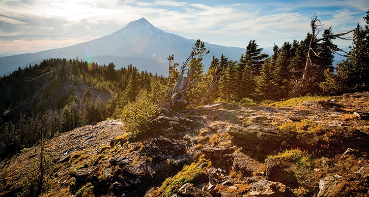 "Mt. Hood From Lookout Mountain by Blaine Franger"