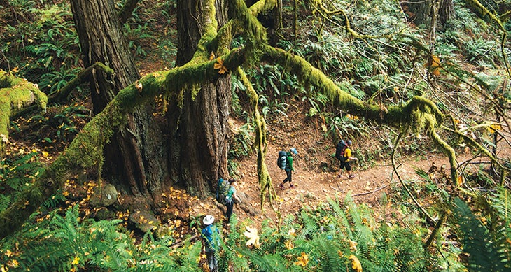 Sinkyone Wilderness Sinkyone Wilderness
