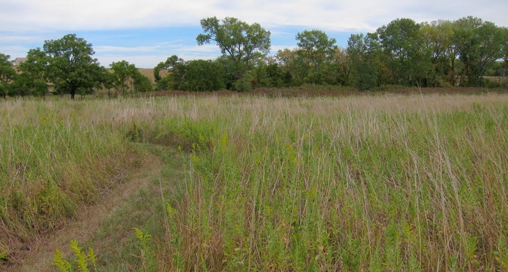 Tallgrass Prairie National Preserve, Kansas Tallgrass Prairie National Preserve, Kansas